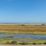 Apartamento 1 habitación en venta en Moncarapacho e Fuseta, Olhão, Algarve &bull; ARE96502 - gallery image