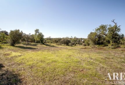 Casa de campo 4 habitaciones en venta en Alcantarilha e Pêra, Silves, Algarve &bull; ARE93592