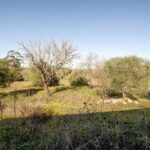 Casa de campo 4 habitaciones en venta en Alcantarilha e Pêra, Silves, Algarve &bull; ARE93592 - gallery image