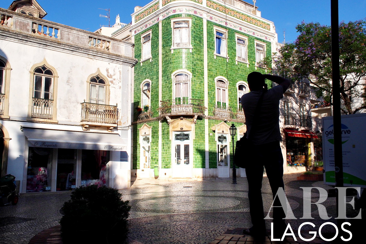 Diversidad en las propiedades inmobiliarias de Lagos