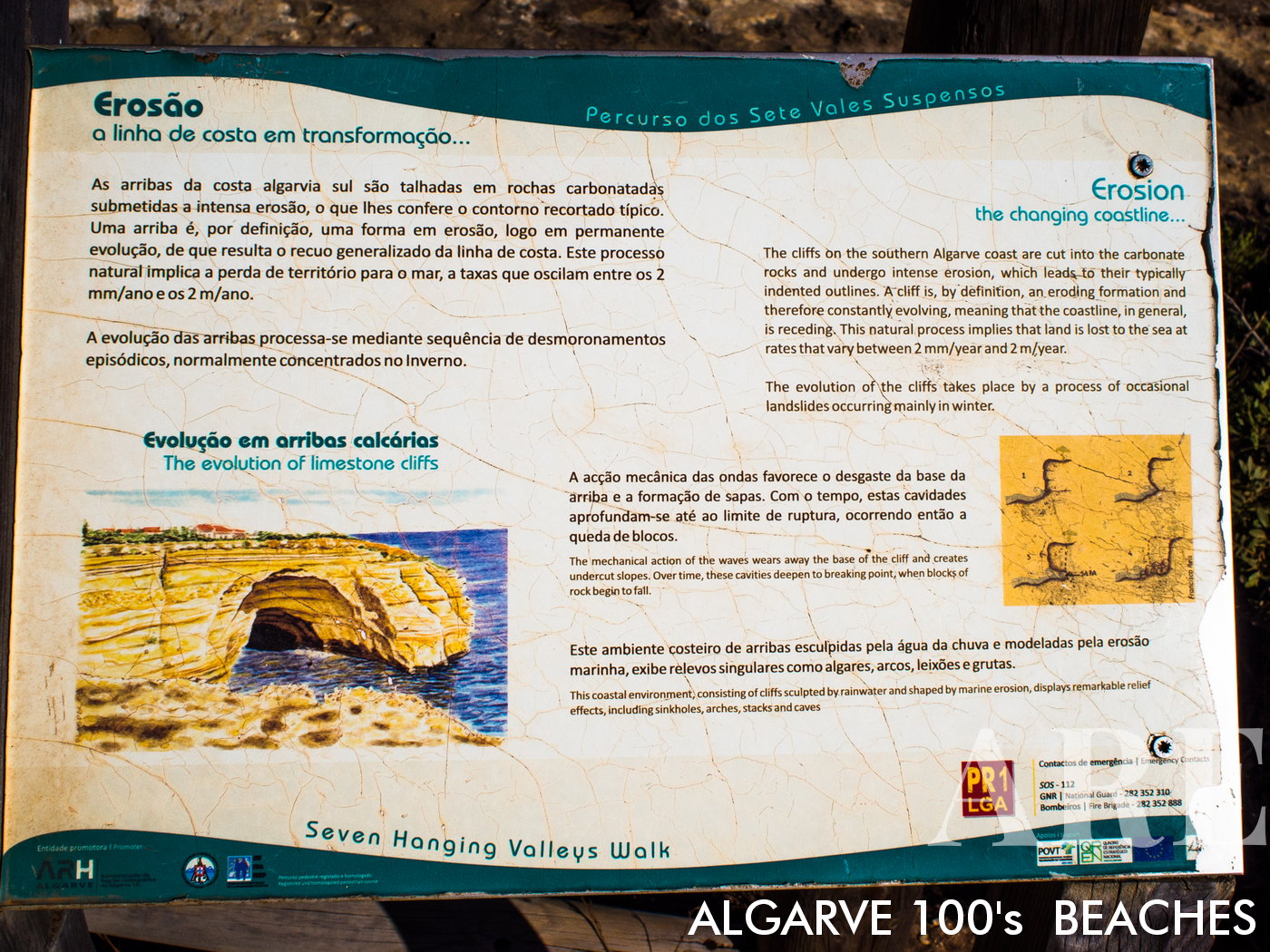 Descripción de Algar