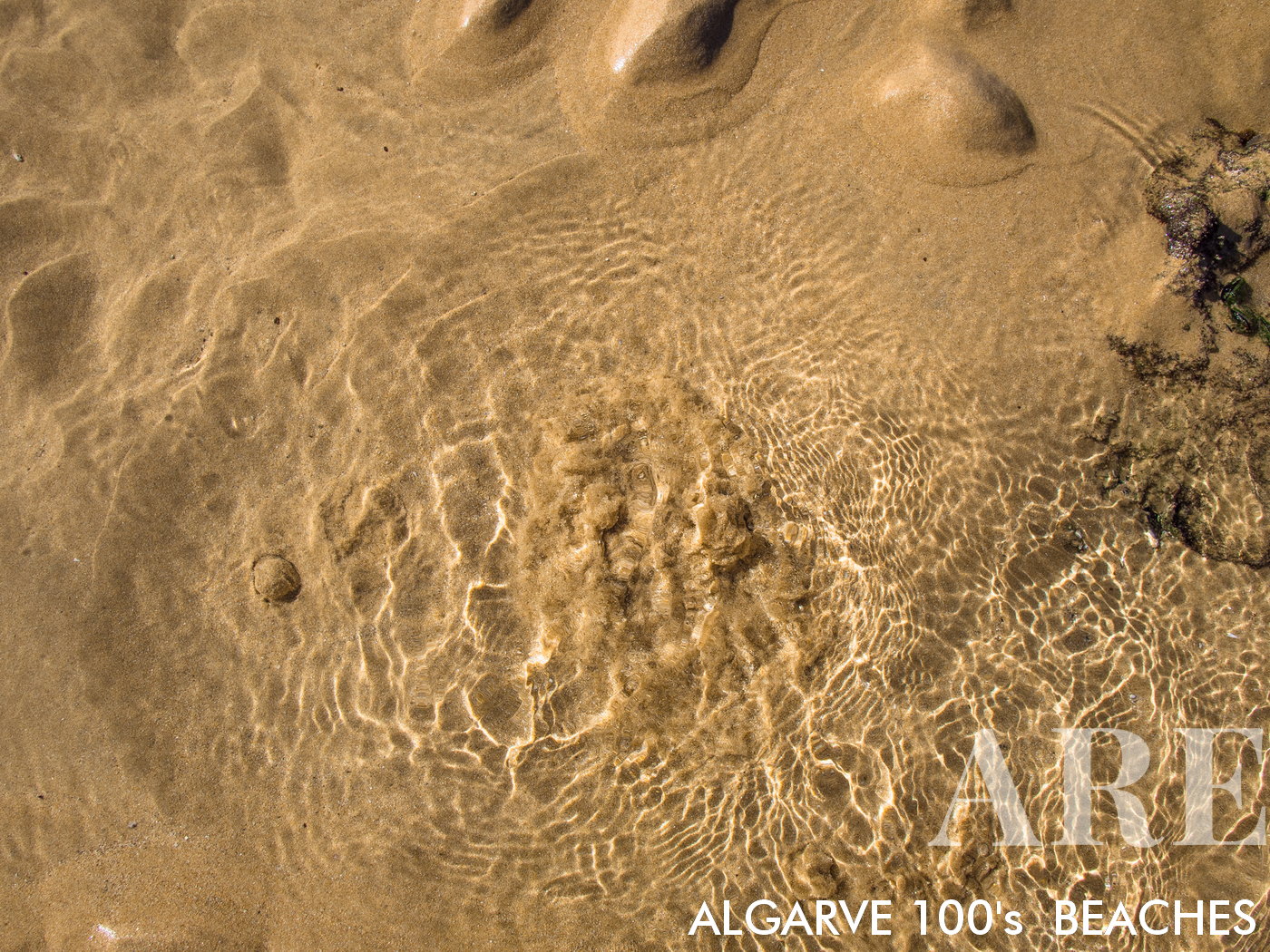 Olhos de Água es un destino de playa único ubicado en la región del Algarve de Portugal. Su nombre, que significa "ojos de agua", se deriva de los manantiales naturales de agua dulce, u "olheiros", que se pueden ver durante la marea baja. Estos cautivadores manantiales de agua dulce brotan a través de la arena, brindando un delicioso contraste con el agua salada del mar circundante.
