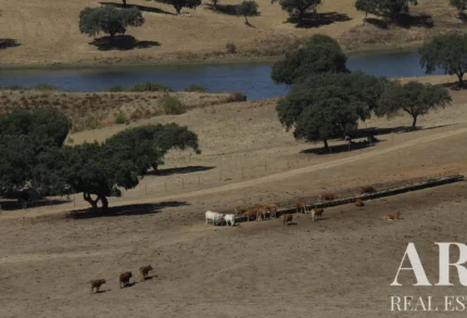 Casa de campo 4 habitaciones en venta en Redondo, Évora &bull; ARE79765