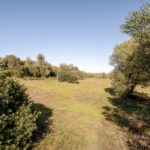 Terreno en venta en Alcantarilha e Pêra, Silves, Faro - gallery image