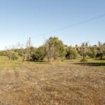 Terreno en venta en Alcantarilha e Pêra, Silves, Faro - gallery image