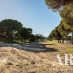 Terrain à vendre à Montenegro, Faro, Algarve &bull; ARE69281 - gallery image