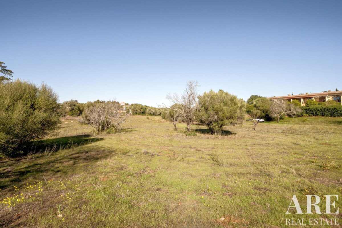 Maison de ferme 4 chambres à vendre à Alcantarilha e Pêra, Silves, Algarve • ARE93592