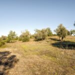 Maison de ferme 4 chambres à vendre à Alcantarilha e Pêra, Silves, Algarve • ARE93592 - gallery image