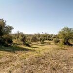 Maison de ferme 4 chambres à vendre à Alcantarilha e Pêra, Silves, Algarve • ARE93592 - gallery image