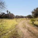 Maison de ferme 4 chambres à vendre à Alcantarilha e Pêra, Silves, Algarve • ARE93592 - gallery image