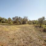 Maison de ferme 4 chambres à vendre à Alcantarilha e Pêra, Silves, Algarve • ARE93592 - gallery image