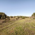 Maison de ferme 4 chambres à vendre à Alcantarilha e Pêra, Silves, Algarve • ARE93592 - gallery image