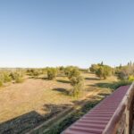 Maison de ferme 4 chambres à vendre à Alcantarilha e Pêra, Silves, Algarve • ARE93592 - gallery image