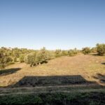 Maison de ferme 4 chambres à vendre à Alcantarilha e Pêra, Silves, Algarve • ARE93592 - gallery image
