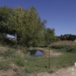 Maison de ferme 4 chambres à vendre à Redondo, Évora &bull; ARE79765 - gallery image