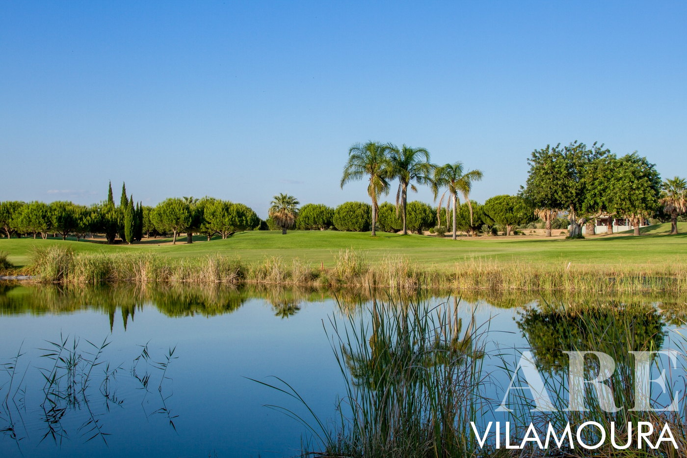 Harmonie de la nature