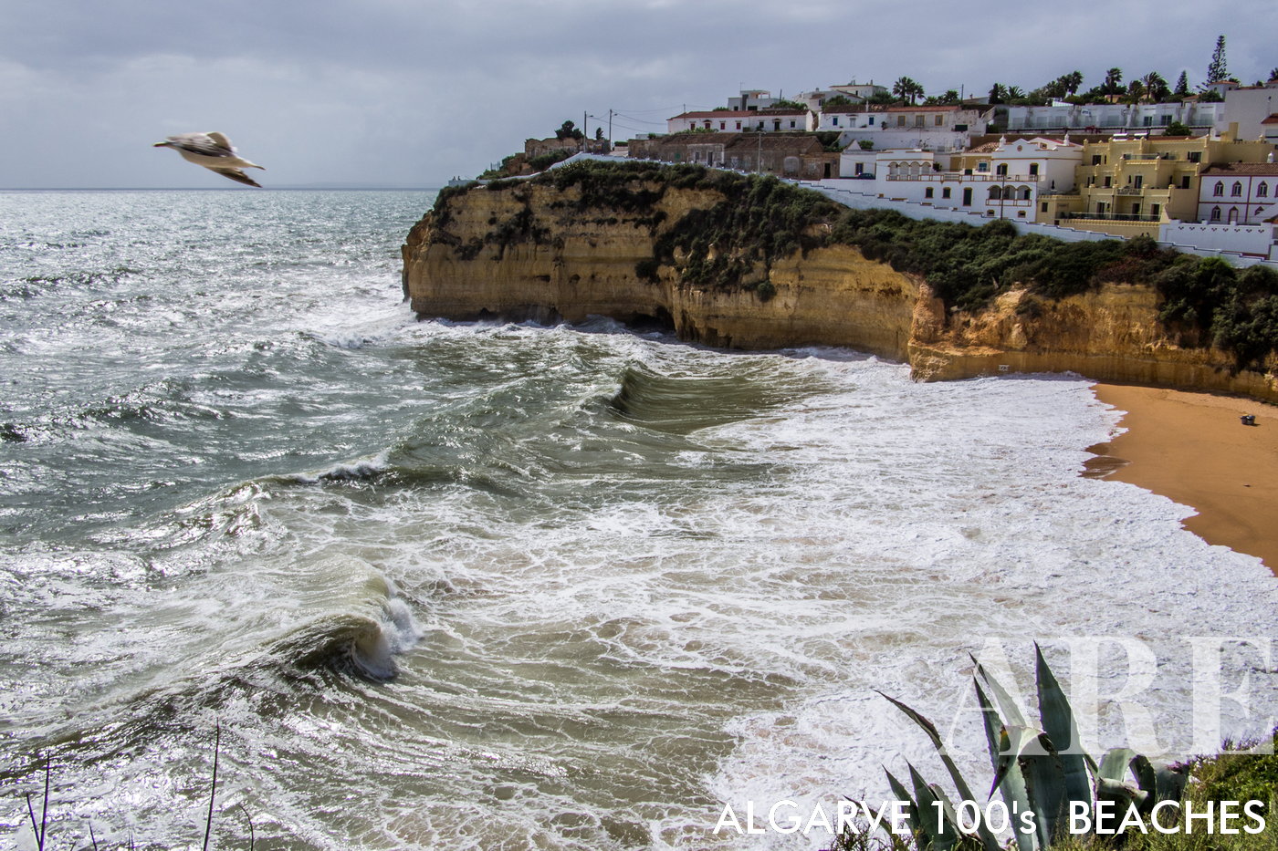 Carveiro dans un jour d'orage