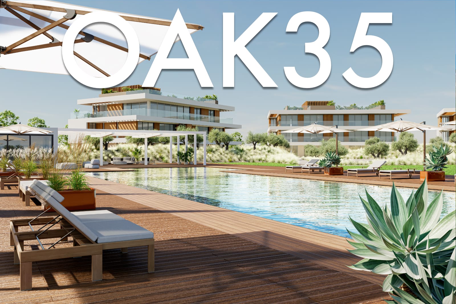 Oak 35