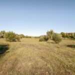 Terrain à vendre à Alcantarilha e Pêra, Silves, Faro - gallery image