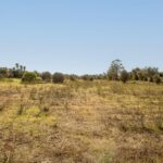 Terrain à vendre à Alcantarilha e Pêra, Silves, Faro - gallery image