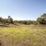 Terrain à vendre à Alcantarilha e Pêra, Silves, Faro - gallery image