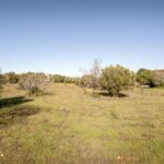 Terrain à vendre à Alcantarilha e Pêra, Silves, Faro - gallery image