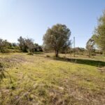 Terrain à vendre à Alcantarilha e Pêra, Silves, Faro - gallery image