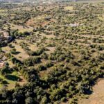 Terrain à vendre à Alcantarilha e Pêra, Silves, Faro - gallery image