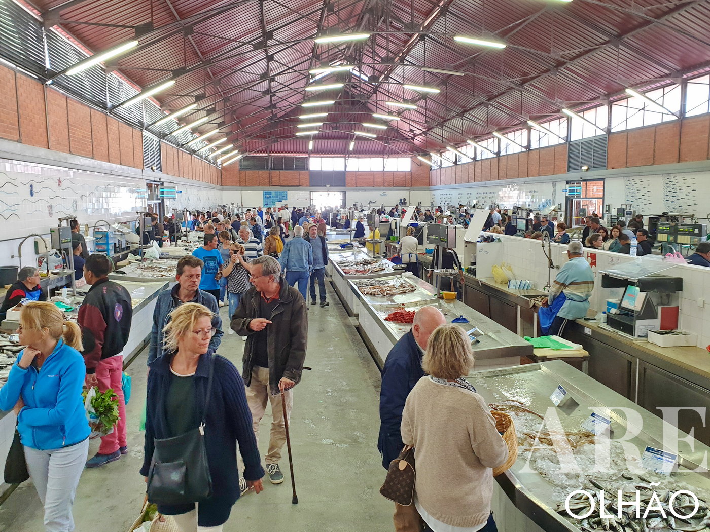 Inside Olhão's Fish Market