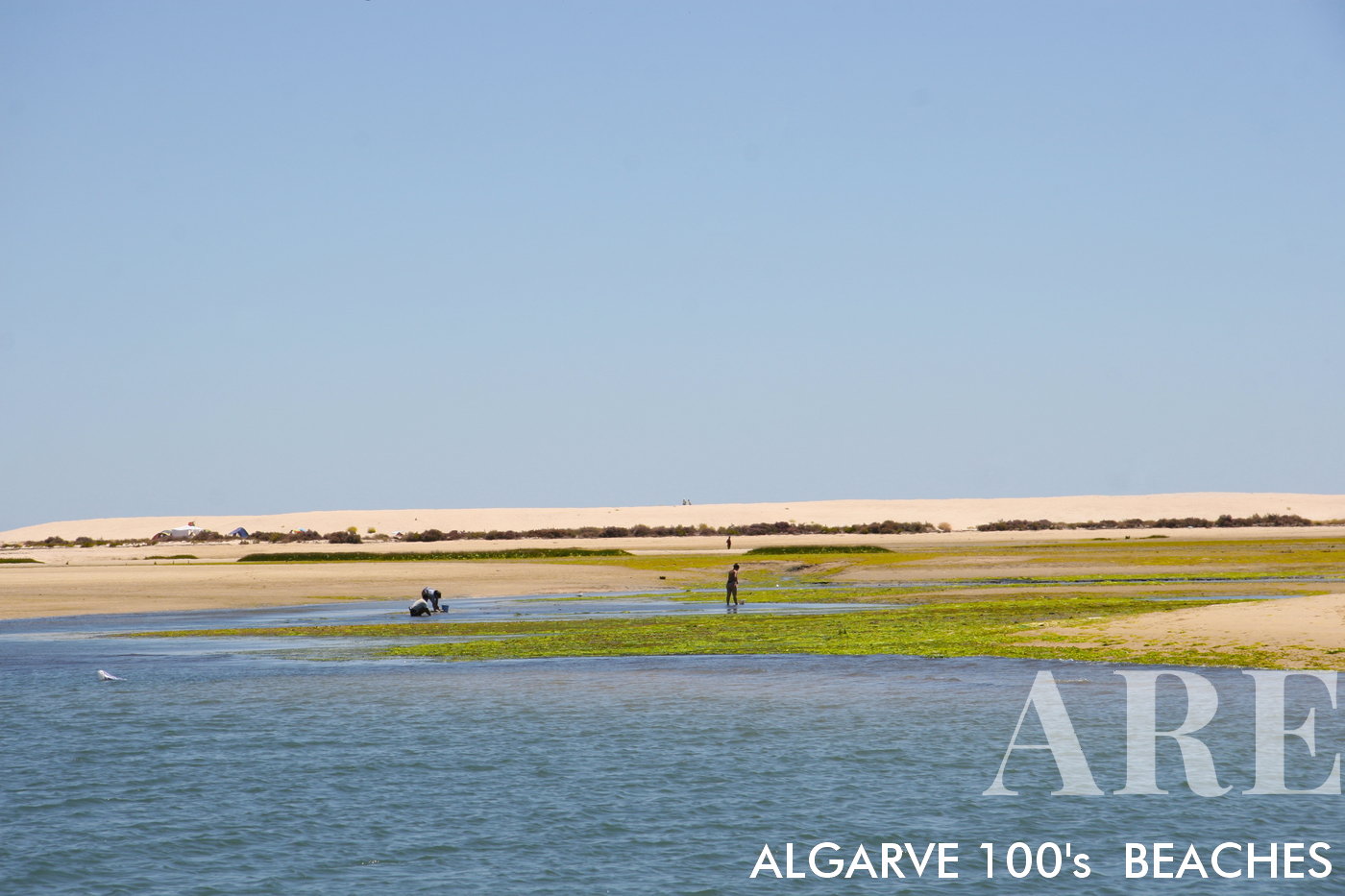 A Fuseta é a presença de marisqueiras locais que se dedicam à apanha de bivalves como amêijoas e berbigões. Você pode observar esses pescadores tradicionais em ação, mergulhando nas águas rasas para coletar essas deliciosas iguarias do mar.