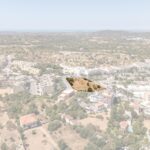 Terreno à venda em São Clemente, Loulé, Algarve &bull; ARE90640 - gallery image