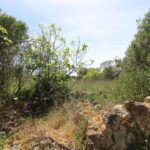 Terreno à venda em São Clemente, Loulé, Algarve &bull; ARE75425 - gallery image