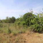 Terreno à venda em São Clemente, Loulé, Algarve &bull; ARE75425 - gallery image