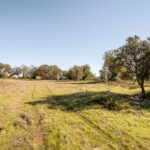 Quinta 4 quartos à venda em Alcantarilha e Pêra, Silves, Algarve &bull; ARE93592 - gallery image