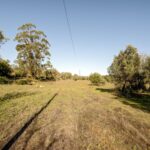 Quinta 4 quartos à venda em Alcantarilha e Pêra, Silves, Algarve &bull; ARE93592 - gallery image