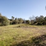 Quinta 4 quartos à venda em Alcantarilha e Pêra, Silves, Algarve &bull; ARE93592 - gallery image