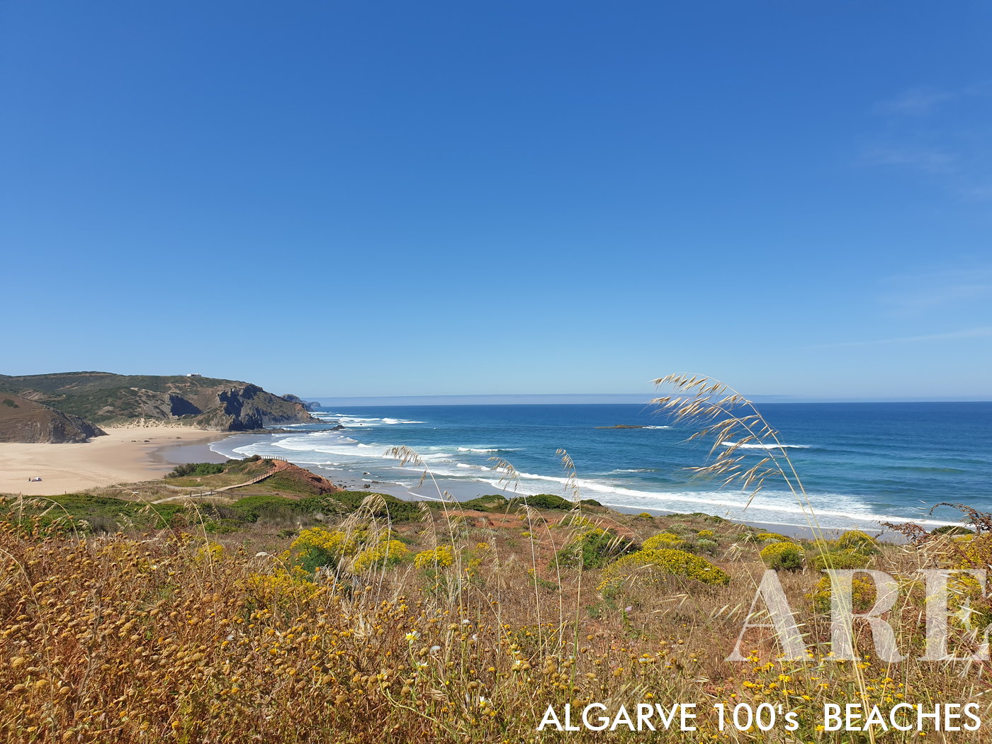 Vista através de um enquadramento de natureza e plantas locais, a Praia do Amado revela a sua beleza tranquila.