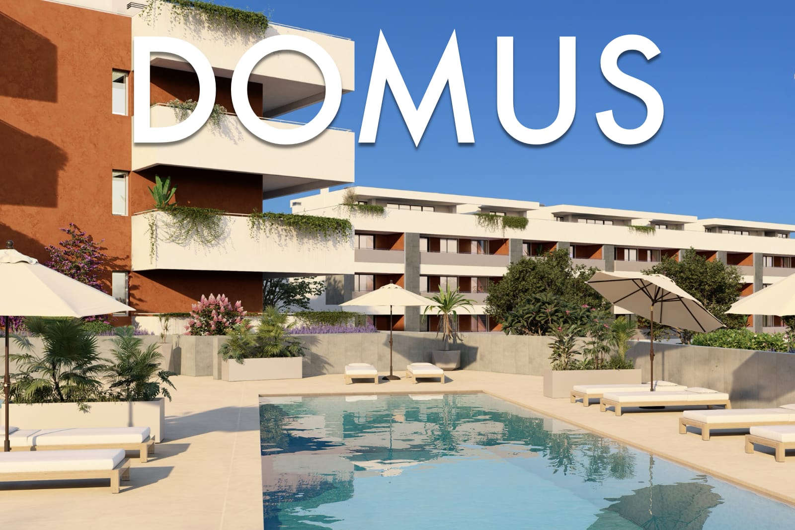 Domus