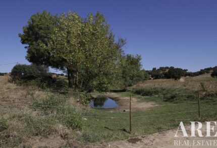 Quinta 4 quartos à venda em Redondo, Évora &bull; ARE79765