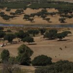 Quinta 4 quartos à venda em Redondo, Évora • ARE79765 - gallery image