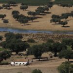 Quinta 4 quartos à venda em Redondo, Évora • ARE79765 - gallery image