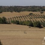 Quinta 4 quartos à venda em Redondo, Évora • ARE79765 - gallery image