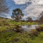 Quinta 2 quartos à venda em Panoias e Conceição, Ourique, Beja &bull; ARE86586 - gallery image