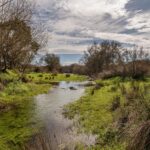Quinta 2 quartos à venda em Panoias e Conceição, Ourique, Beja &bull; ARE86586 - gallery image