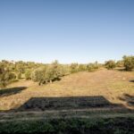 Villa 4-bedroom for sale in Alcantarilha e Pêra, Silves, Faro - gallery image