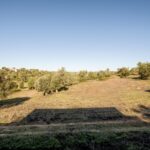 Villa 4-bedroom for sale in Alcantarilha e Pêra, Silves, Algarve &bull; ARE93911 - gallery image