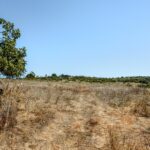 Land for sale in Luz, Lagos, Algarve &bull; ARE80536 - gallery image