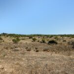 Land for sale in Luz, Lagos, Algarve &bull; ARE80536 - gallery image