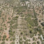 Land for sale in Odiáxere, Lagos, Algarve &bull; ARE73826 - gallery image