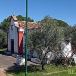 Farmhouse 19-bedroom for sale in São Bartolomeu de Messines, Silves, Algarve • ARE67581 - gallery image